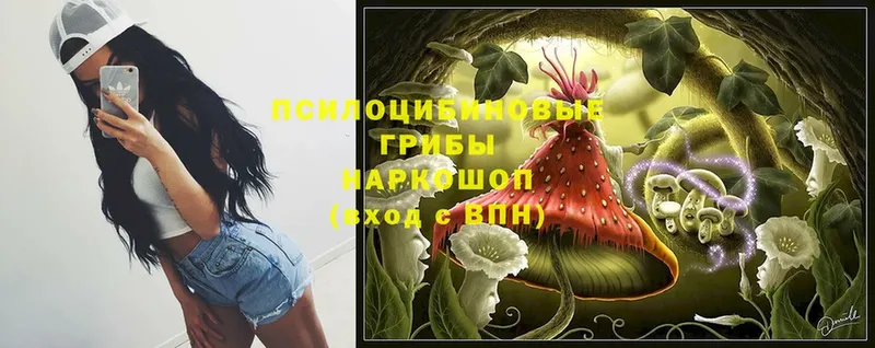 Псилоцибиновые грибы Magic Shrooms  Болохово 